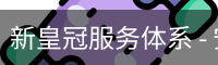 新皇冠服务体系